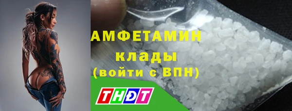 сатива Володарск