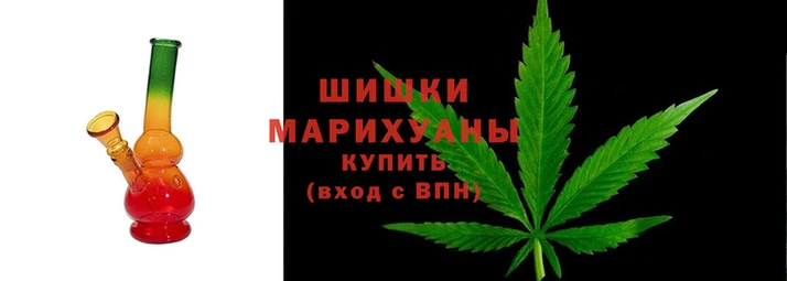сатива Володарск