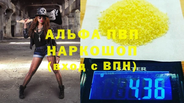 эйфоретик Вяземский