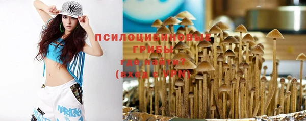 МДПВ Волоколамск